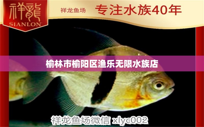 榆林市榆阳区渔乐无限水族店 全国水族馆企业名录