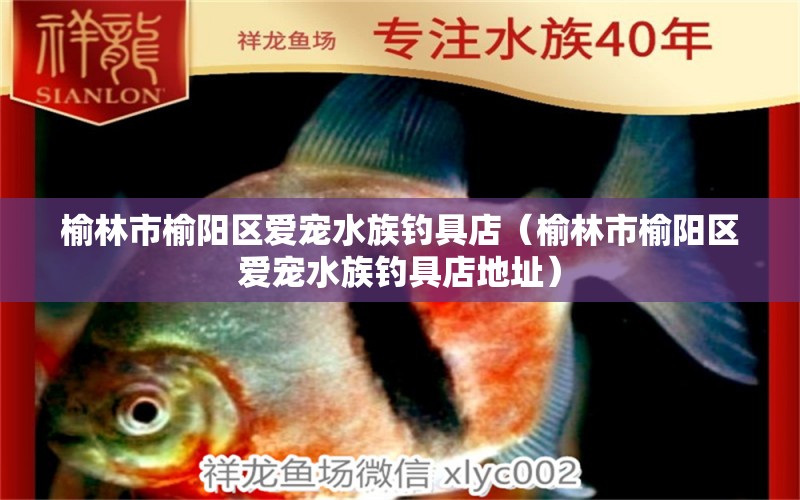 榆林市榆阳区爱宠水族钓具店（榆林市榆阳区爱宠水族钓具店地址）