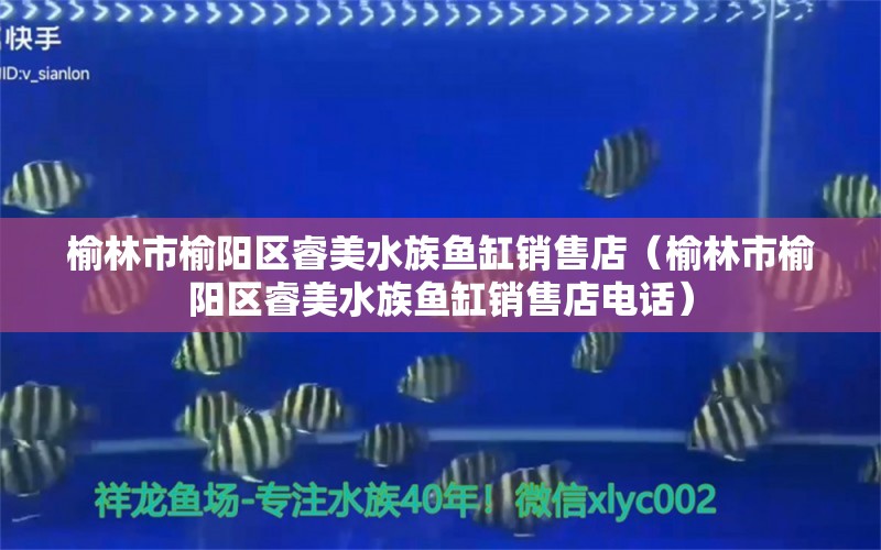 榆林市榆阳区睿美水族鱼缸销售店（榆林市榆阳区睿美水族鱼缸销售店电话） 全国水族馆企业名录