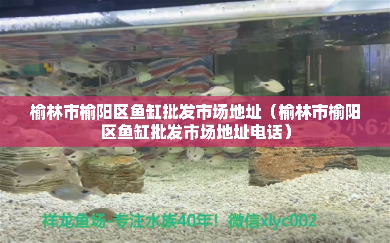 榆林市榆阳区鱼缸批发市场地址（榆林市榆阳区鱼缸批发市场地址电话）