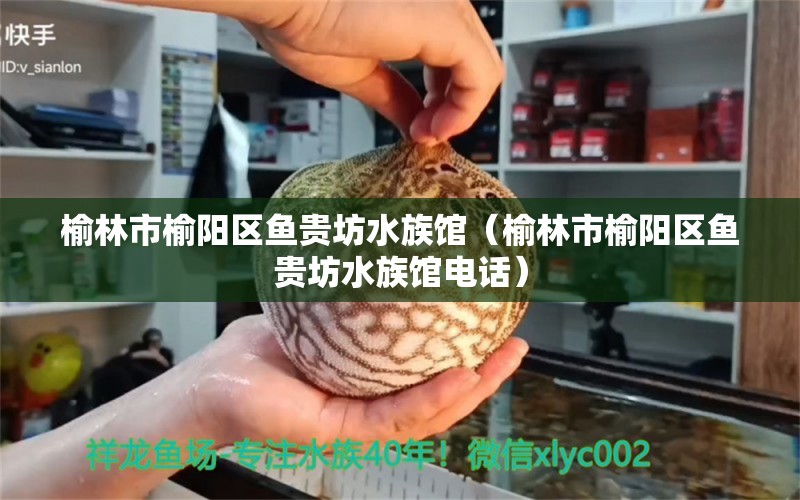 榆林市榆阳区鱼贵坊水族馆（榆林市榆阳区鱼贵坊水族馆电话）