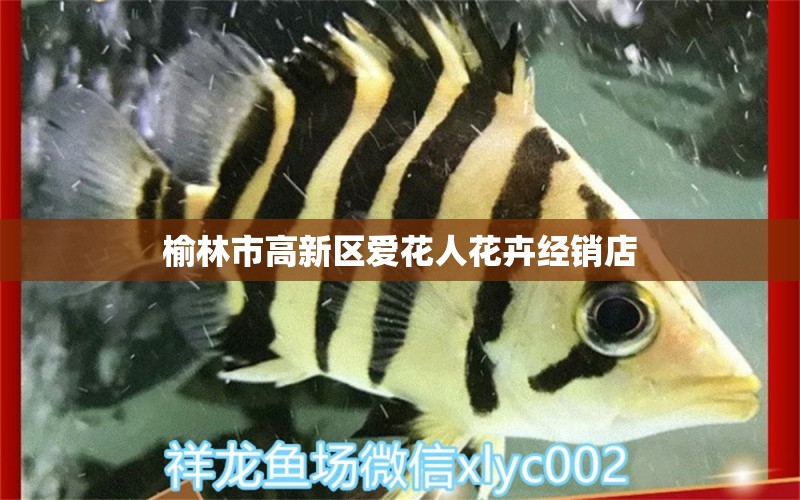 榆林市高新区爱花人花卉经销店 全国水族馆企业名录