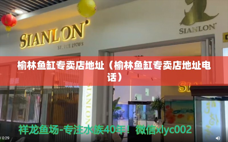 榆林鱼缸专卖店地址（榆林鱼缸专卖店地址电话） 三间鼠鱼