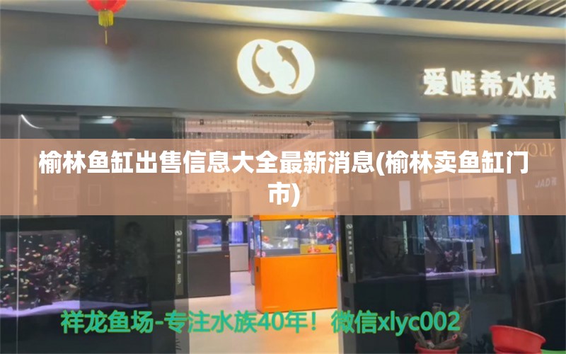 榆林鱼缸出售信息大全最新消息(榆林卖鱼缸门市)