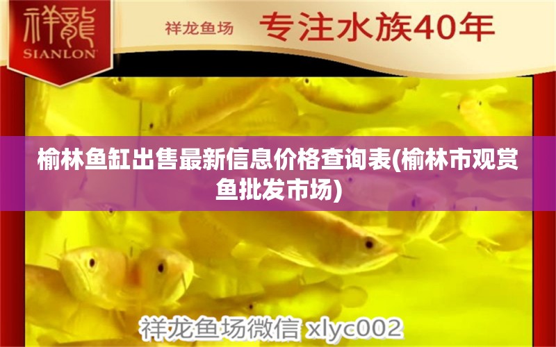 榆林鱼缸出售最新信息价格查询表(榆林市观赏鱼批发市场) 观赏鱼批发 第1张