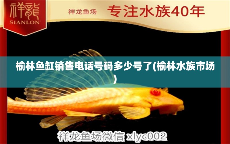 榆林鱼缸销售电话号码多少号了(榆林水族市场)