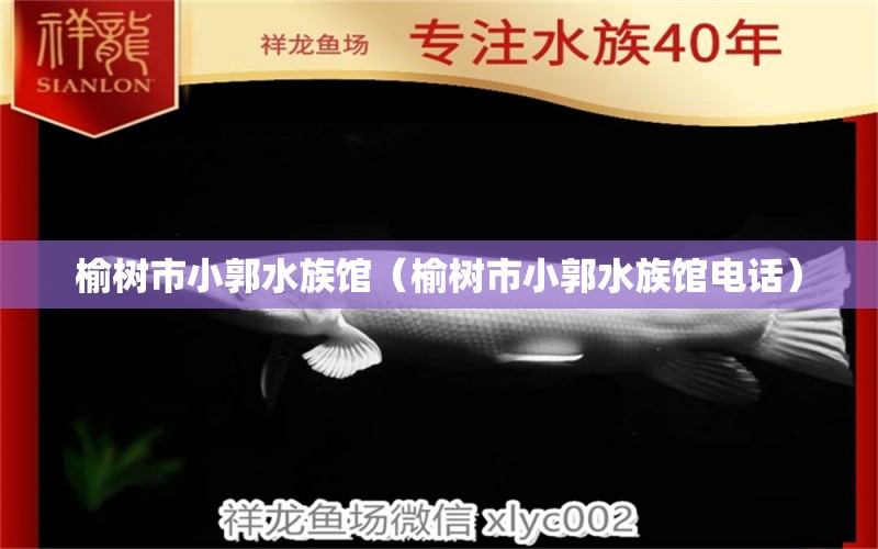 榆树市小郭水族馆（榆树市小郭水族馆电话） 全国水族馆企业名录