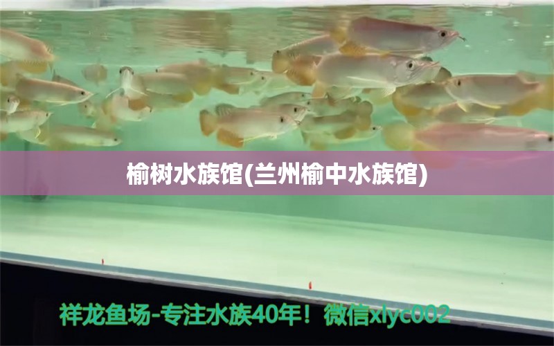 榆树水族馆(兰州榆中水族馆)