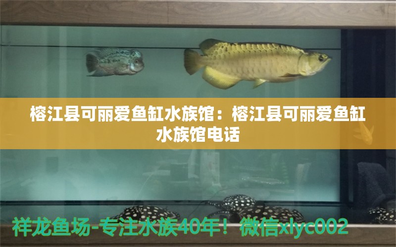 榕江县可丽爱鱼缸水族馆：榕江县可丽爱鱼缸水族馆电话 全国水族馆企业名录