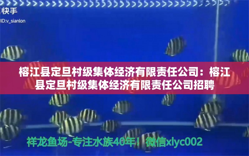 榕江县定旦村级集体经济有限责任公司：榕江县定旦村级集体经济有限责任公司招聘