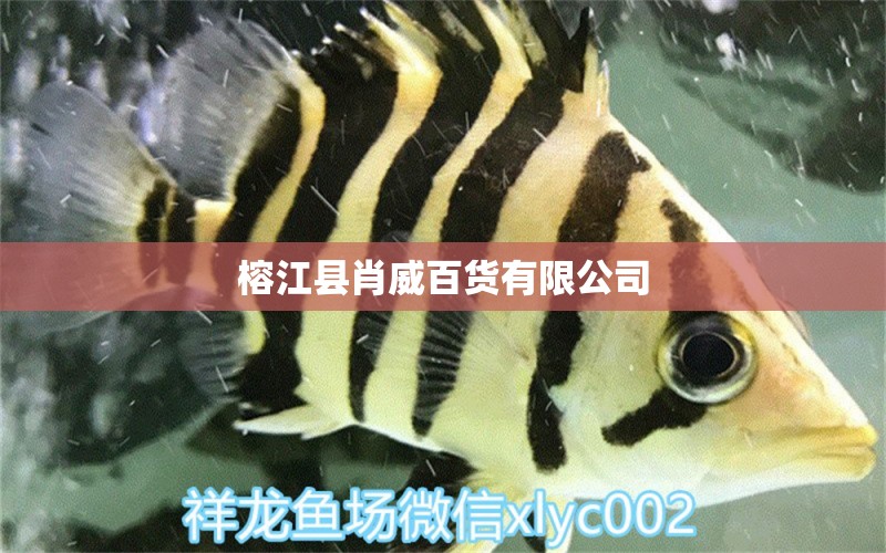 榕江县肖威百货有限公司 全国水族馆企业名录