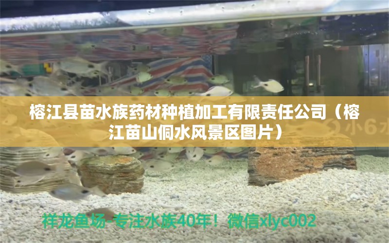 榕江县苗水族药材种植加工有限责任公司（榕江苗山侗水风景区图片）