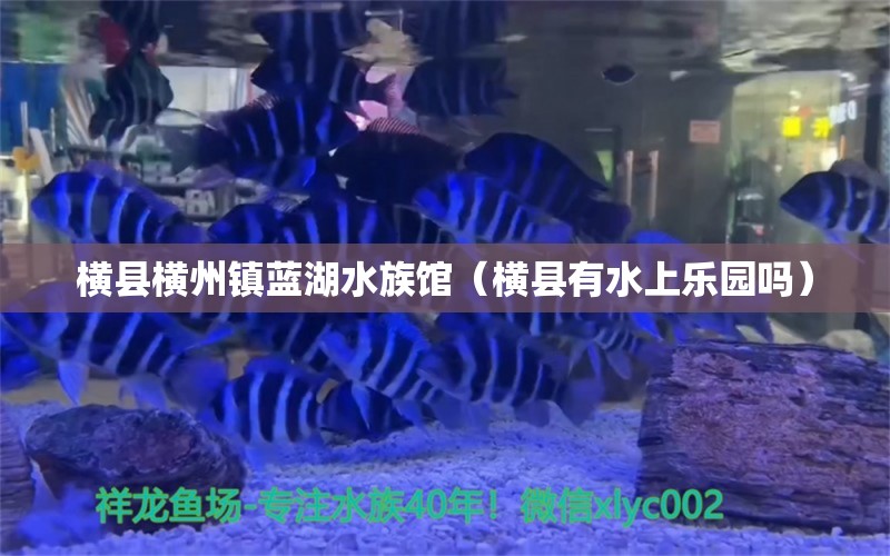 横县横州镇蓝湖水族馆（横县有水上乐园吗）