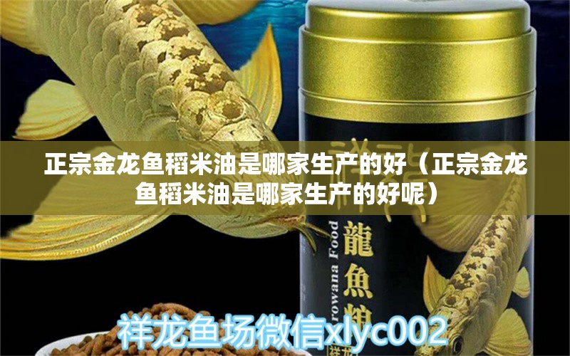 正宗金龙鱼稻米油是哪家生产的好（正宗金龙鱼稻米油是哪家生产的好呢）