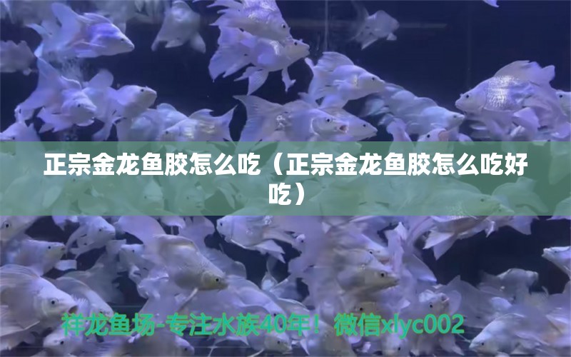 正宗金龙鱼胶怎么吃（正宗金龙鱼胶怎么吃好吃）