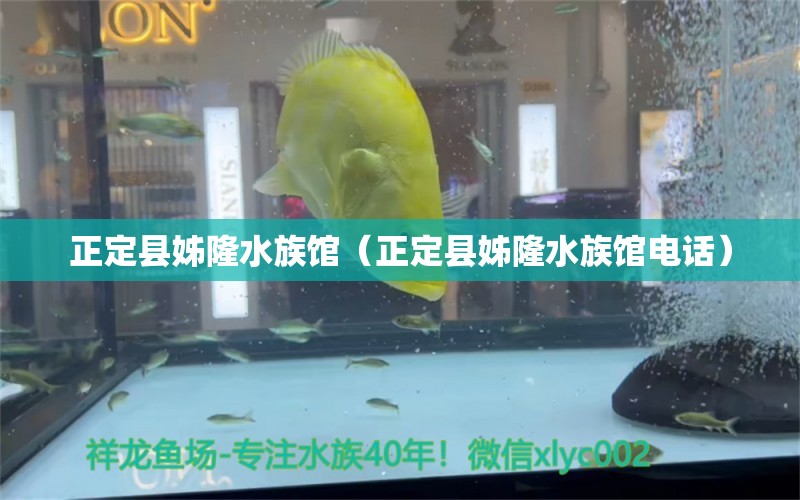 正定县姊隆水族馆（正定县姊隆水族馆电话） 全国水族馆企业名录