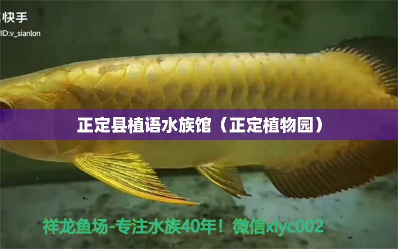 正定县植语水族馆（正定植物园） 全国水族馆企业名录