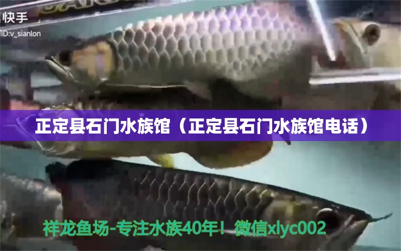 正定县石门水族馆（正定县石门水族馆电话） 全国水族馆企业名录