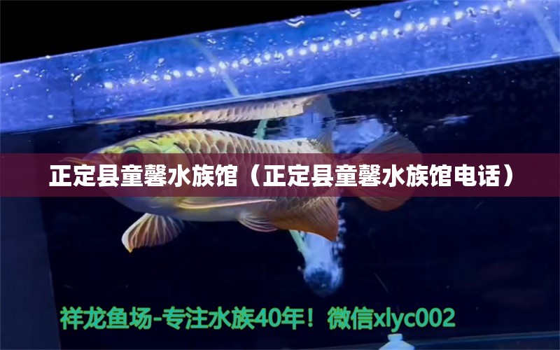 正定县童馨水族馆（正定县童馨水族馆电话） 全国水族馆企业名录