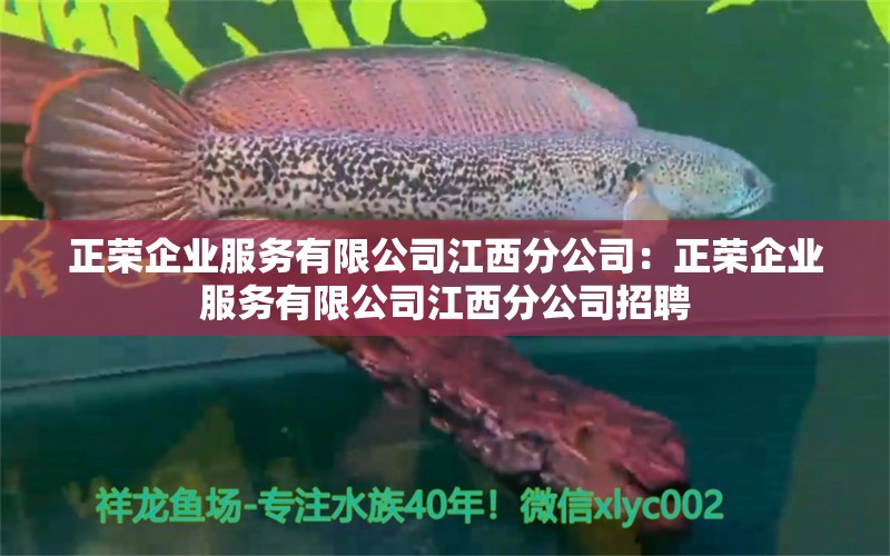 正荣企业服务有限公司江西分公司：正荣企业服务有限公司江西分公司招聘 全国水族馆企业名录