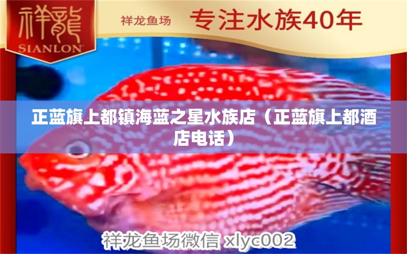 正蓝旗上都镇海蓝之星水族店（正蓝旗上都酒店电话） 全国水族馆企业名录