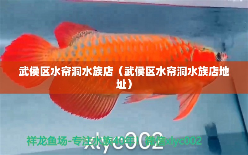 武侯区水帘洞水族店（武侯区水帘洞水族店地址）