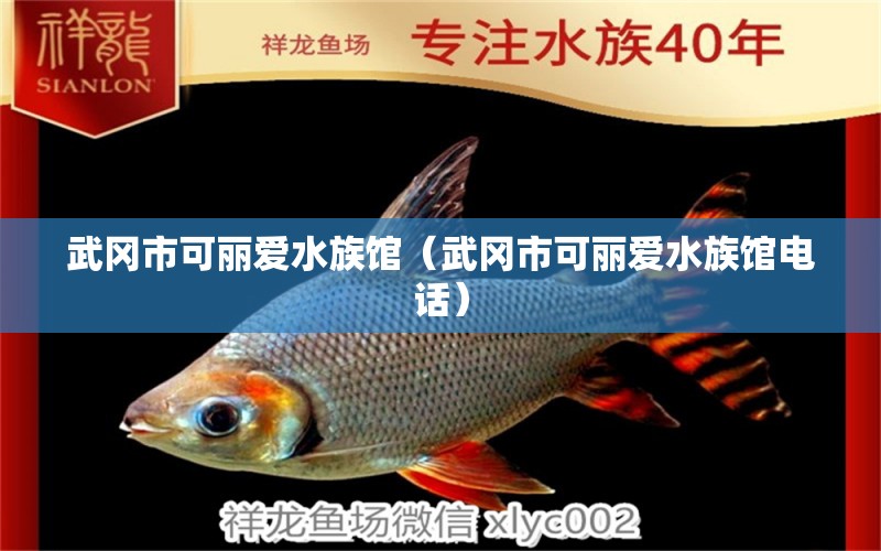 武冈市可丽爱水族馆（武冈市可丽爱水族馆电话）