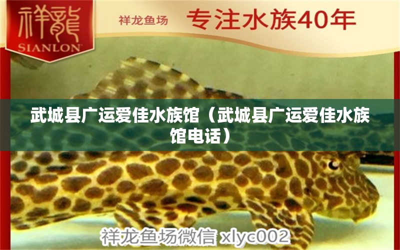 武城县广运爱佳水族馆（武城县广运爱佳水族馆电话）