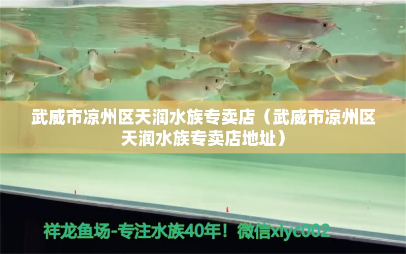 武威市凉州区天润水族专卖店（武威市凉州区天润水族专卖店地址）