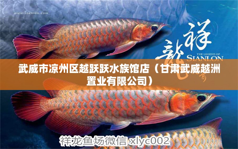 武威市凉州区越跃跃水族馆店（甘肃武威越洲置业有限公司） 全国水族馆企业名录