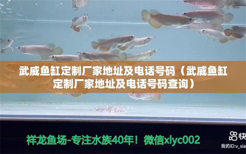 武威鱼缸定制厂家地址及电话号码（武威鱼缸定制厂家地址及电话号码查询）