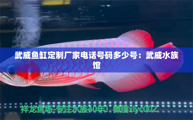 武威鱼缸定制厂家电话号码多少号：武威水族馆