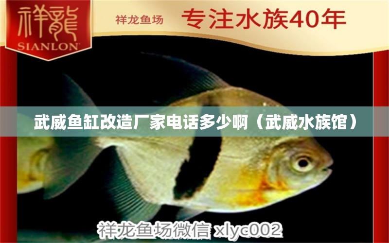 武威鱼缸改造厂家电话多少啊（武威水族馆）