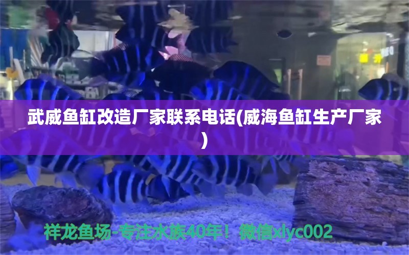 武威鱼缸改造厂家联系电话(威海鱼缸生产厂家) 白子金龙鱼