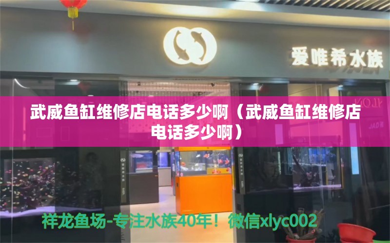 武威鱼缸维修店电话多少啊（武威鱼缸维修店电话多少啊）