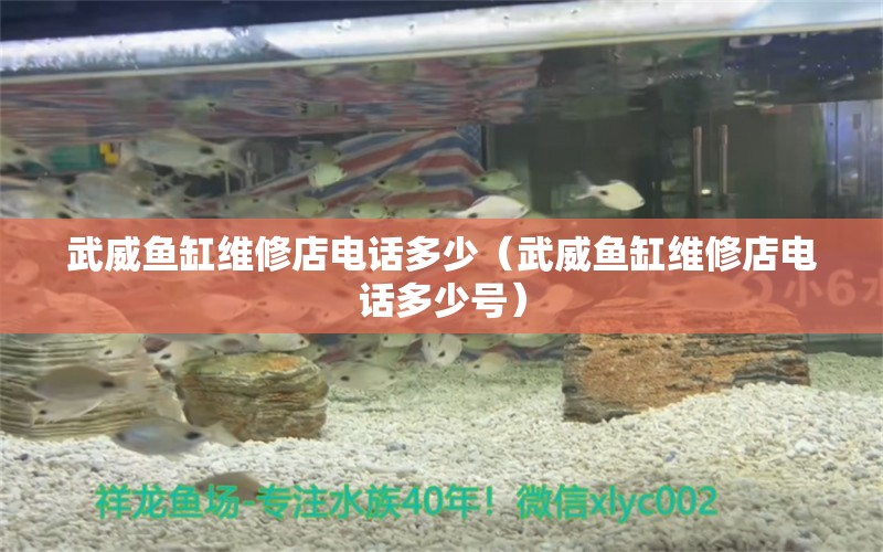 武威鱼缸维修店电话多少（武威鱼缸维修店电话多少号） 祥龙水族医院