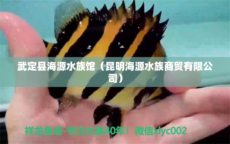 武定县海源水族馆（昆明海源水族商贸有限公司）