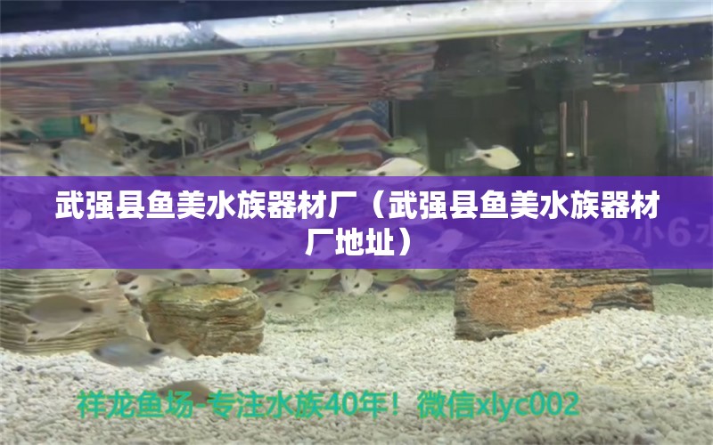 武强县鱼美水族器材厂（武强县鱼美水族器材厂地址）