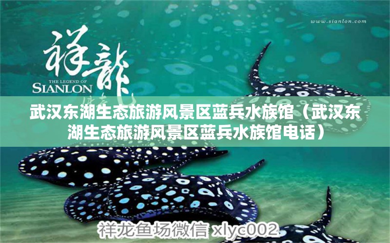 武汉东湖生态旅游风景区蓝兵水族馆（武汉东湖生态旅游风景区蓝兵水族馆电话） 全国水族馆企业名录