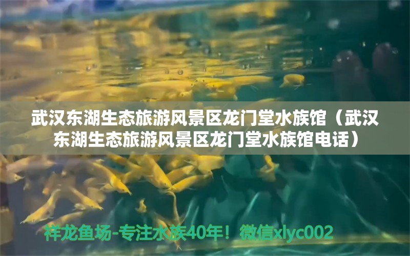 武汉东湖生态旅游风景区龙门堂水族馆（武汉东湖生态旅游风景区龙门堂水族馆电话） 全国水族馆企业名录