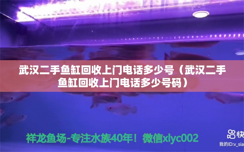 武汉二手鱼缸回收上门电话多少号（武汉二手鱼缸回收上门电话多少号码） 祥龙水族医院