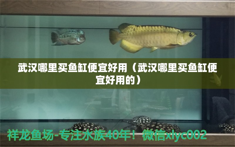 武汉哪里买鱼缸便宜好用（武汉哪里买鱼缸便宜好用的） 祥龙鱼场