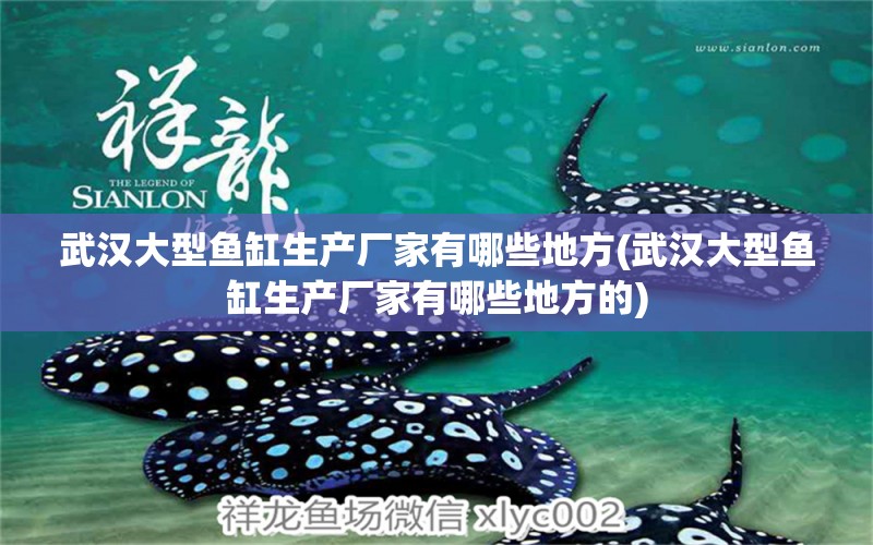 武汉大型鱼缸生产厂家有哪些地方(武汉大型鱼缸生产厂家有哪些地方的) 观赏鱼百科