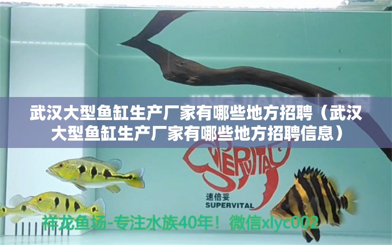 武汉大型鱼缸生产厂家有哪些地方招聘（武汉大型鱼缸生产厂家有哪些地方招聘信息）