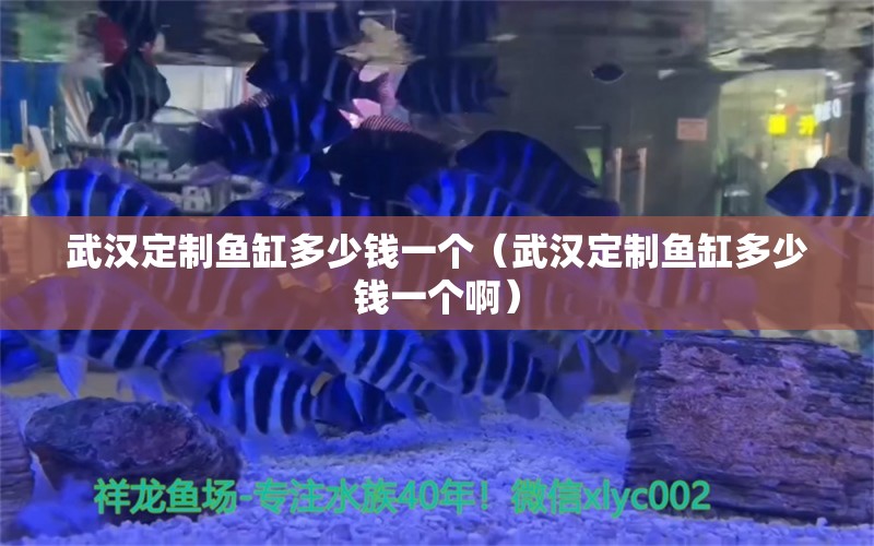 武汉定制鱼缸多少钱一个（武汉定制鱼缸多少钱一个啊）