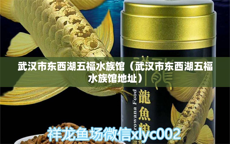 武汉市东西湖五福水族馆（武汉市东西湖五福水族馆地址） 全国水族馆企业名录