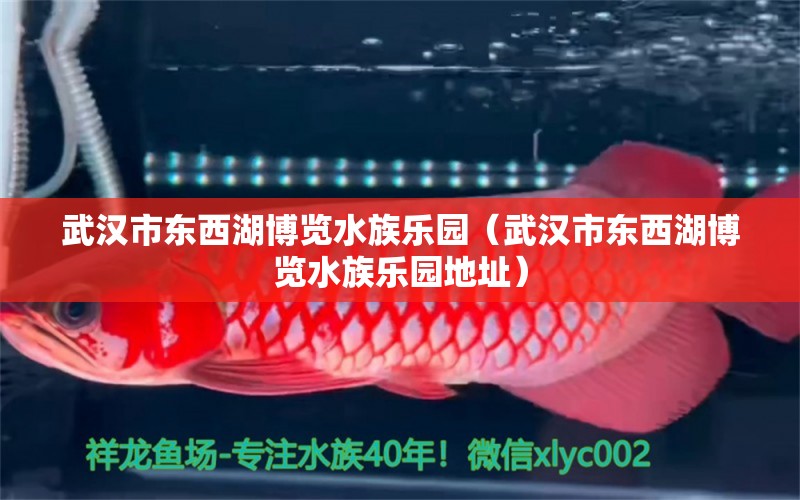 武汉市东西湖博览水族乐园（武汉市东西湖博览水族乐园地址）