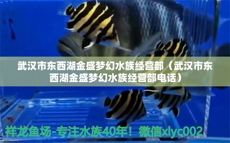 武汉市东西湖金盛梦幻水族经营部（武汉市东西湖金盛梦幻水族经营部电话）