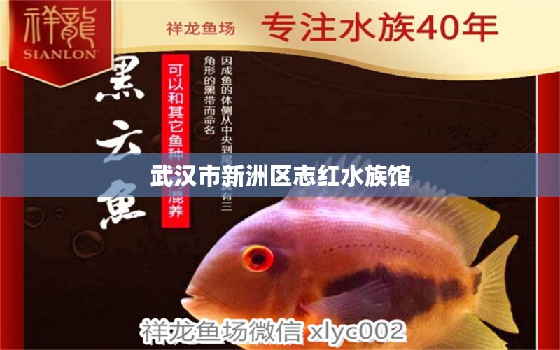 武汉市新洲区志红水族馆 全国水族馆企业名录