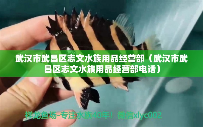 武汉市武昌区志文水族用品经营部（武汉市武昌区志文水族用品经营部电话） 水族用品